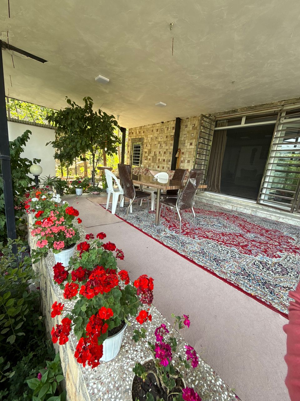 گالری تصاویر