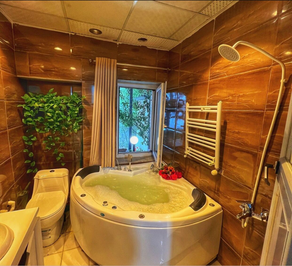 گالری تصاویر